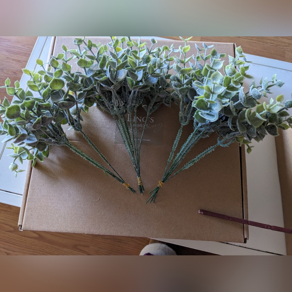 Eucalyptus Steams